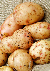 Image showing Raw Potato