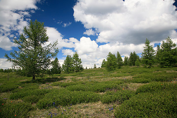 Image showing West Sayan Mountains