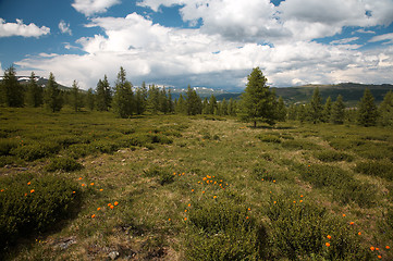 Image showing West Sayan Mountains