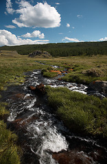 Image showing Alpine stream