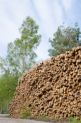 Image showing Logs