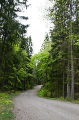 Image showing Winding road