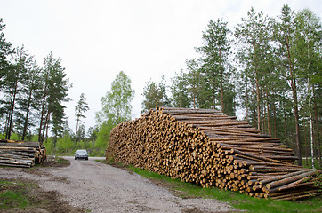 Image showing Timber stacks