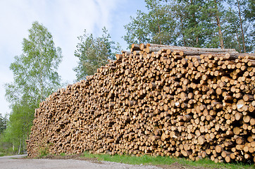 Image showing Timber stack