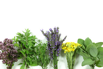 Image showing Fresh herbs