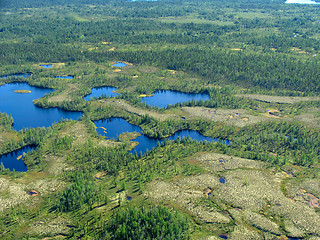 Image showing Forest-tundra landscape