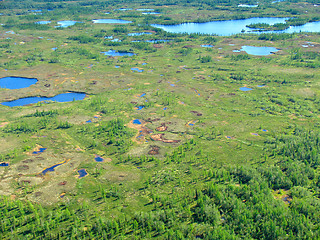 Image showing Forest-tundra landscape