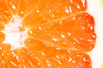 Image showing Grapefruit