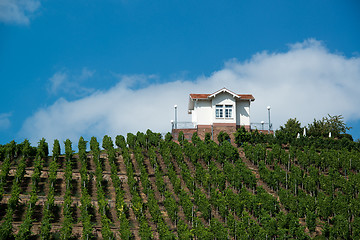 Image showing Villa in vineyards