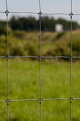 Image showing Wire fence with green grass