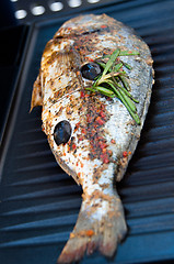 Image showing Gilthead Seabream on BBQ