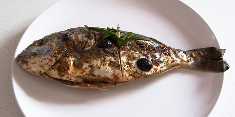 Image showing Gilthead Seabream waiting BBQ