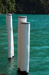 Image showing Old Bollards