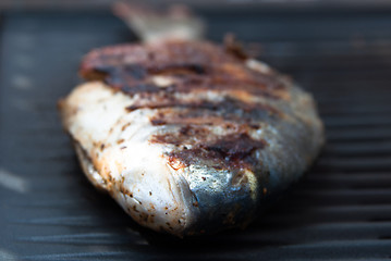 Image showing Gilthead Seabream on BBQ