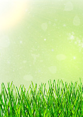 Image showing grass as a background