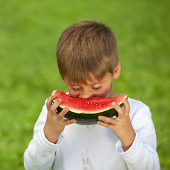 Image showing Little boy eating a fresh watermelon