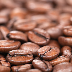 Image showing Coffee beans with shallow depth of field