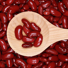 Image showing Red beans