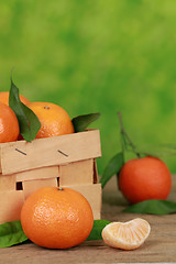 Image showing Tangerines in a box