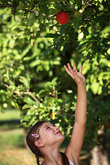 Image showing Girl reaching up for an apple