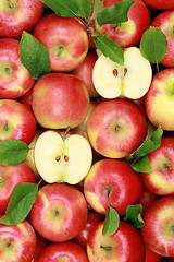 Image showing Apples