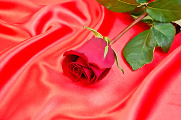 Image showing Rose on a red silk