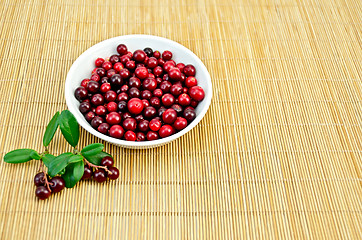 Image showing Lingonberry in a cup on a bamboo mat