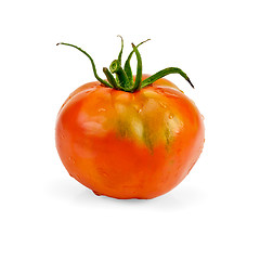 Image showing Tomato whole
