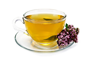 Image showing Herbal tea with oregano