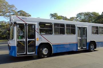 Image showing sydney bus