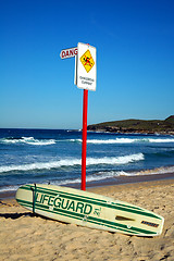 Image showing lifeguard