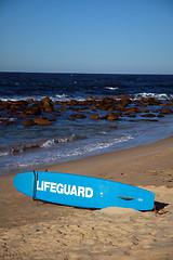 Image showing lifeguard