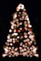 Image showing christmas tree out of focus