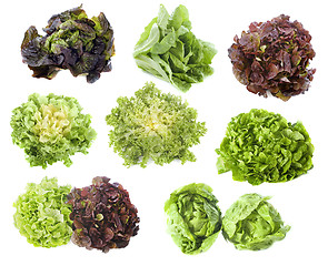 Image showing varieties of salads