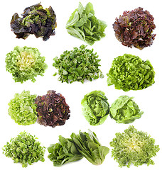 Image showing varieties of salads