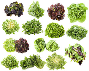 Image showing varieties of salads