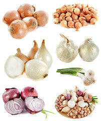 Image showing group of onions