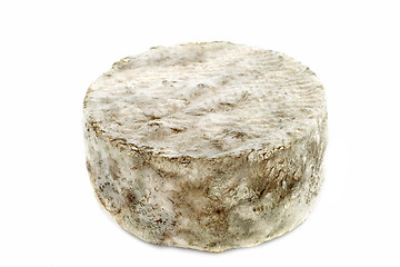 Image showing blue cheese