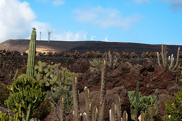 Image showing Jardin De Cactus, Lanzarote