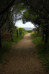 Image showing footpath to ocean