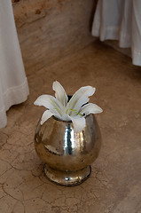 Image showing White Lily flower in vase
