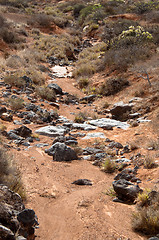 Image showing Dried River Bed