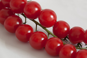 Image showing Cherry tomatoes on the vine