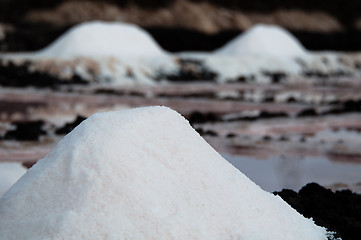 Image showing Salt Piles On A Saline