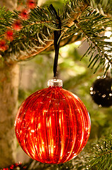 Image showing Christmas balls