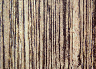 Image showing tree wood textured background