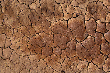 Image showing Dried soil under the Sun