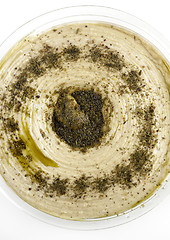 Image showing Hummus Dip