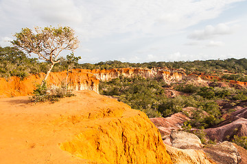 Image showing Marafa Canyon - Kenya