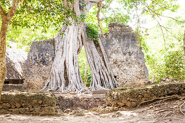 Image showing Gede Ruins